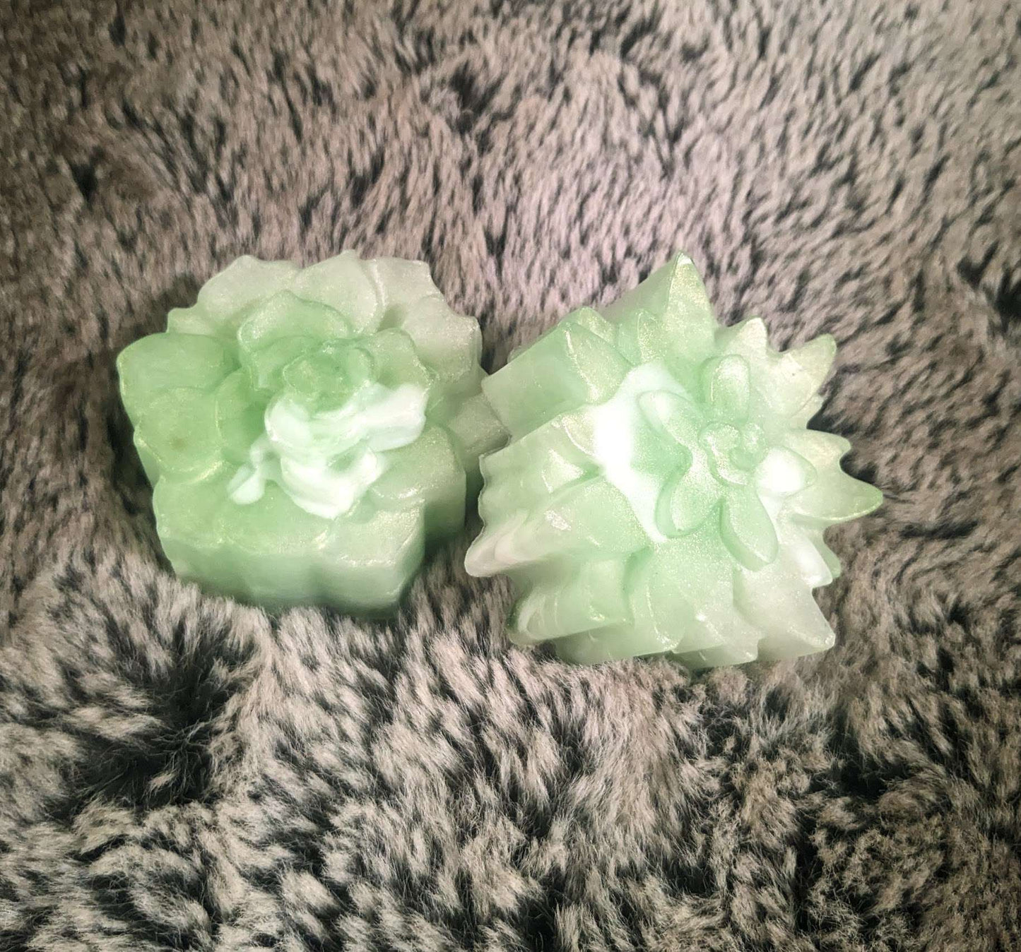 Succulent Soap Bar